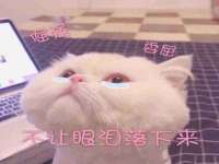 福建省南平市宏鑫福贸易有限公司