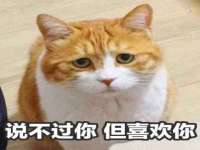 福建省南平市宏鑫福贸易有限公司