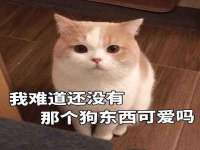 福建省南平市宏鑫福贸易有限公司
