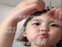 福建省南平市宏鑫福贸易有限公司