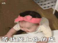 福建省南平市宏鑫福贸易有限公司