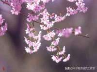 福建省南平市宏鑫福贸易有限公司
