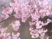 福建省南平市宏鑫福贸易有限公司