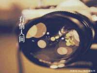 福建省南平市宏鑫福贸易有限公司
