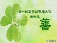 福建省南平市宏鑫福贸易有限公司