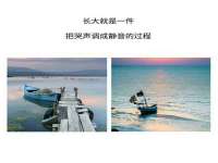 福建省南平市宏鑫福贸易有限公司