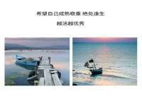 福建省南平市宏鑫福贸易有限公司