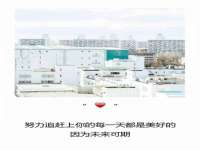 福建省南平市宏鑫福贸易有限公司
