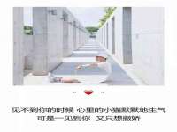 福建省南平市宏鑫福贸易有限公司