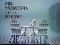 福建省南平市宏鑫福贸易有限公司