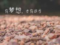 福建省南平市宏鑫福贸易有限公司