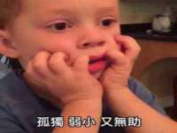 福建省南平市宏鑫福贸易有限公司