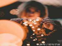福建省南平市宏鑫福贸易有限公司