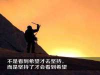 福建省南平市宏鑫福贸易有限公司