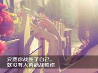 福建省南平市宏鑫福贸易有限公司
