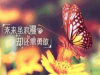 福建省南平市宏鑫福贸易有限公司