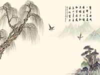 福建省南平市宏鑫福贸易有限公司