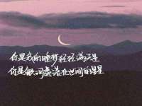 福建省南平市宏鑫福贸易有限公司