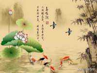 福建省南平市宏鑫福贸易有限公司