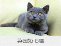 福建省南平市宏鑫福贸易有限公司