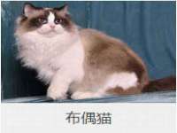 福建省南平市宏鑫福贸易有限公司