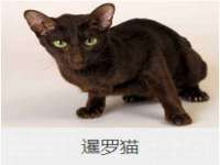 福建省南平市宏鑫福贸易有限公司