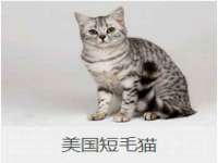 福建省南平市宏鑫福贸易有限公司
