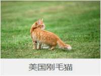 福建省南平市宏鑫福贸易有限公司