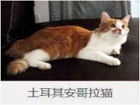 福建省南平市宏鑫福贸易有限公司