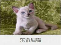 福建省南平市宏鑫福贸易有限公司