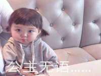 福建省南平市宏鑫福贸易有限公司