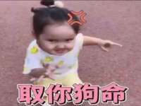 福建省南平市宏鑫福贸易有限公司