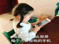 福建省南平市宏鑫福贸易有限公司