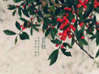福建省南平市宏鑫福贸易有限公司