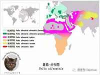 福建省南平市宏鑫福贸易有限公司
