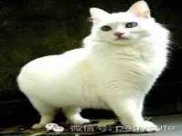 福建省南平市宏鑫福贸易有限公司