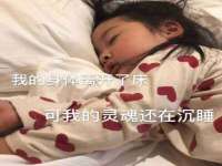 福建省南平市宏鑫福贸易有限公司