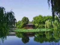 福建省南平市宏鑫福贸易有限公司