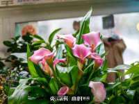 福建省南平市宏鑫福贸易有限公司