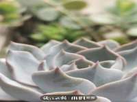 福建省南平市宏鑫福贸易有限公司