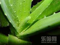 福建省南平市宏鑫福贸易有限公司