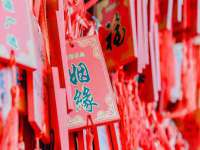 福建省南平市宏鑫福贸易有限公司
