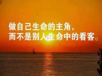 福建省南平市宏鑫福贸易有限公司