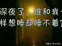 福建省南平市宏鑫福贸易有限公司