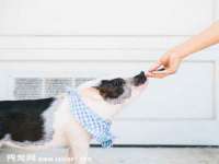 福建省南平市宏鑫福贸易有限公司