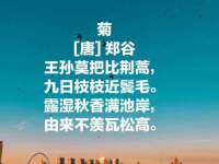 福建省南平市宏鑫福贸易有限公司