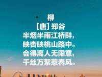 福建省南平市宏鑫福贸易有限公司