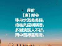 福建省南平市宏鑫福贸易有限公司