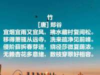 福建省南平市宏鑫福贸易有限公司