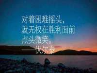 福建省南平市宏鑫福贸易有限公司